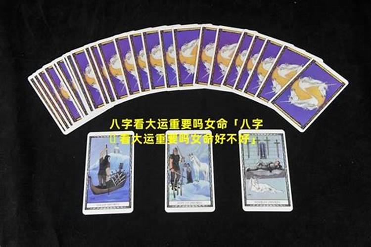 石家庄看花灯的地方