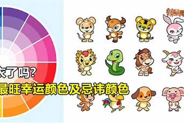 什么是童子？