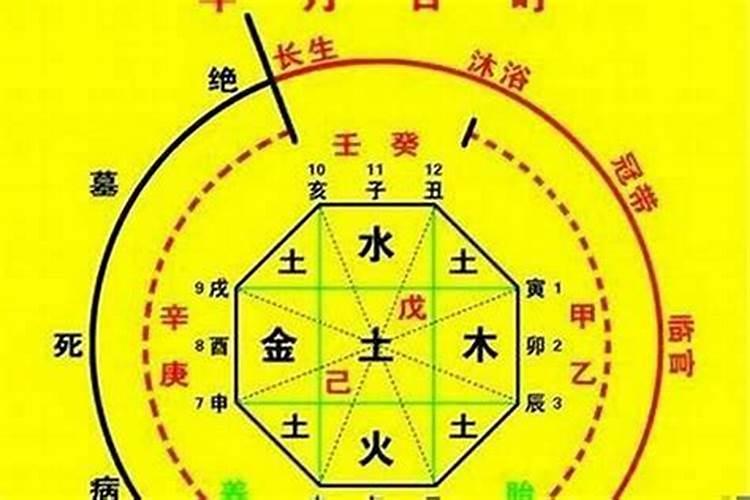 八字喜用神怎么看,怎么看我的八字喜用神？