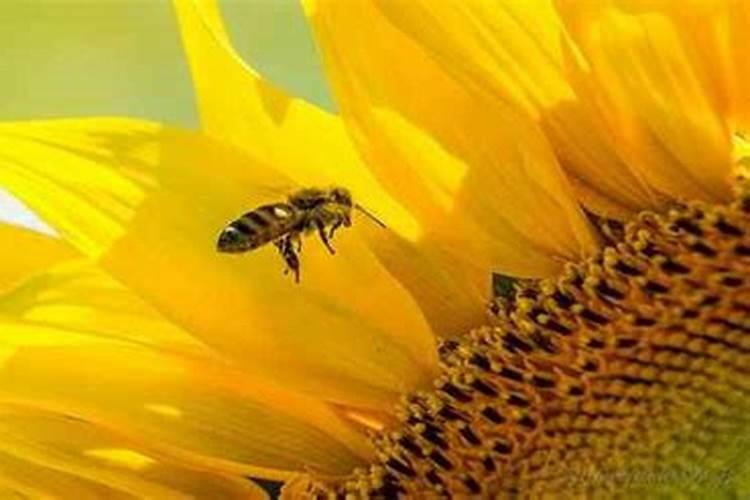 八字看自己的生死簿 断生死口诀