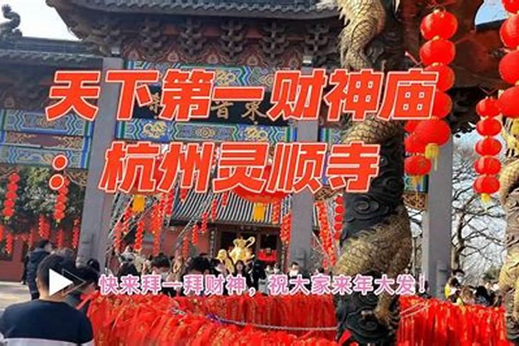 2025年属什么生肖2025年属哪个生肖