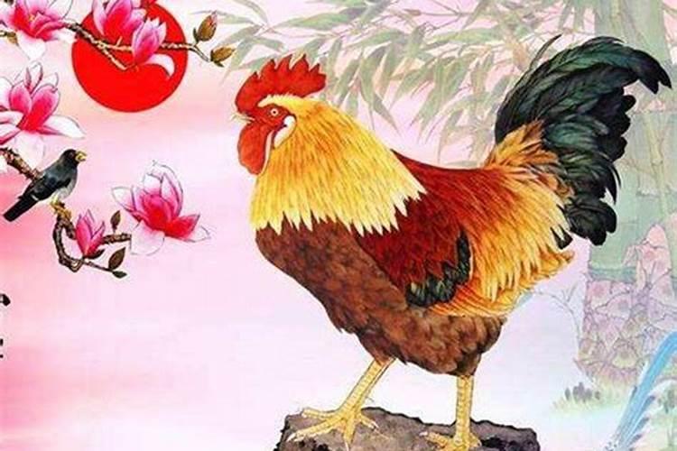 属鸡12月出生什么命运如何