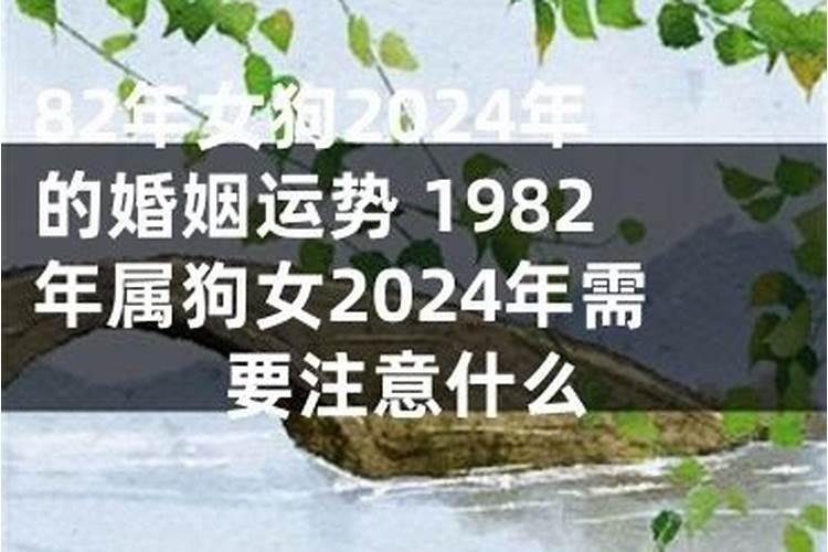 82女属狗一生婚姻与命运