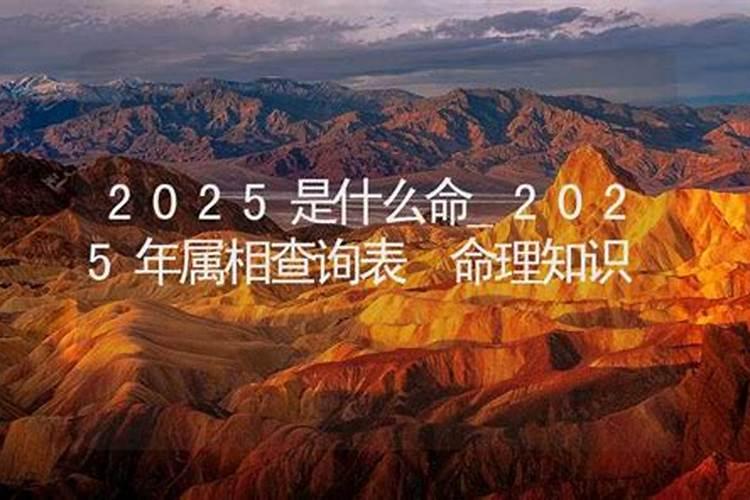 2025年属猪的全年运势