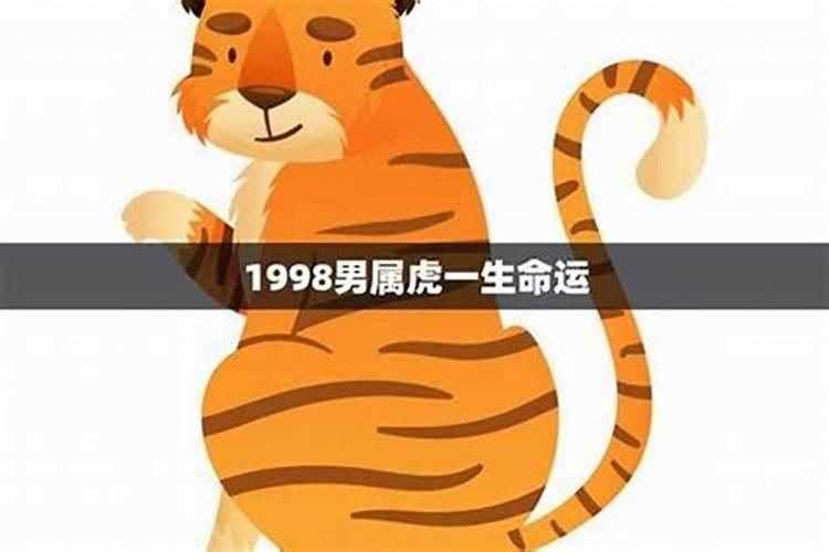 生肖虎1998年2025年运势如何 生肖虎1998年2025年全年运势