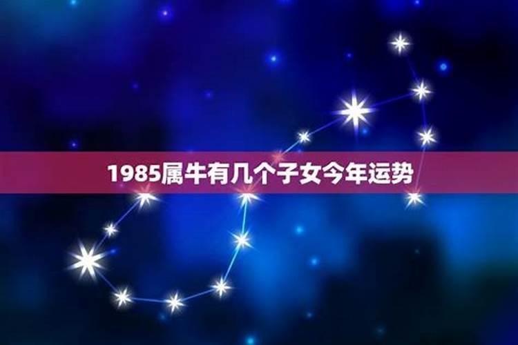 85年属牛 2025年整体运势