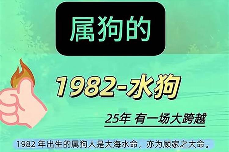 1994农历十二月初七生人性格怎样？