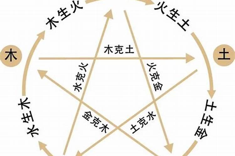 1994年是什么命？1994年出生的属狗人的命运