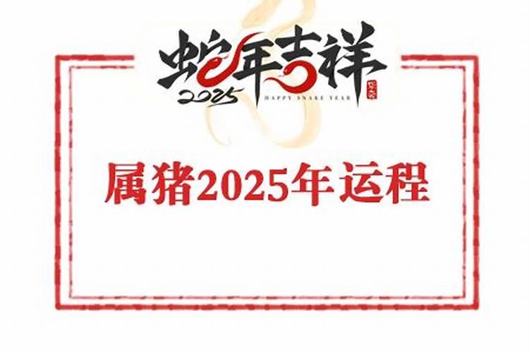 苏民峰人物简介
