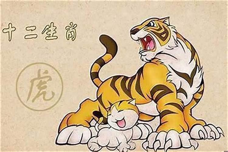 男虎女牛的婚姻顺利吗 虎男与牛女适合结婚吗