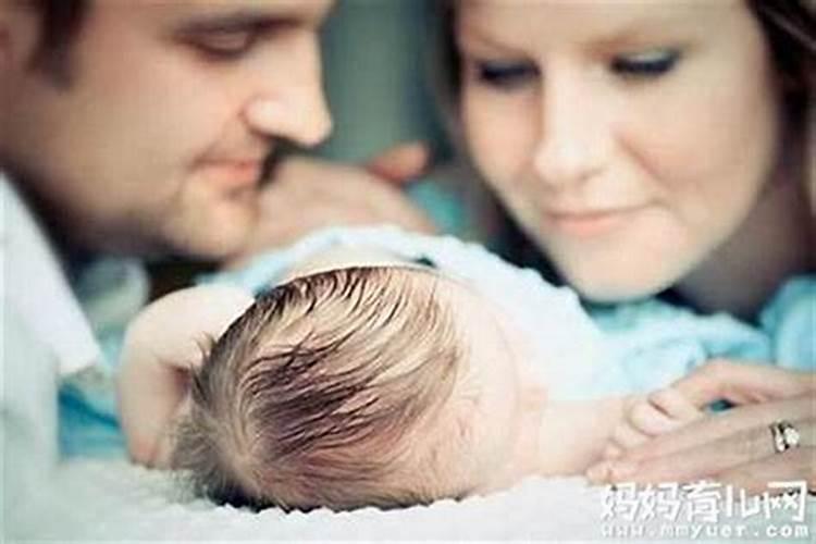 梦见和公公婆婆嫂子吵架的预兆