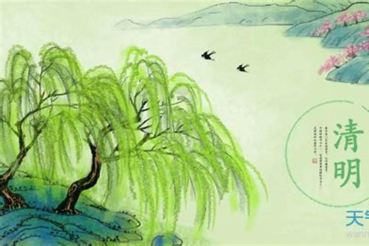 清明节是传统节日吗？清明节踏青有什么好处和意义？