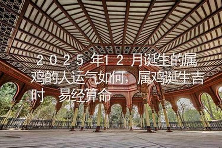 梦到大乌龟是什么征兆 女性