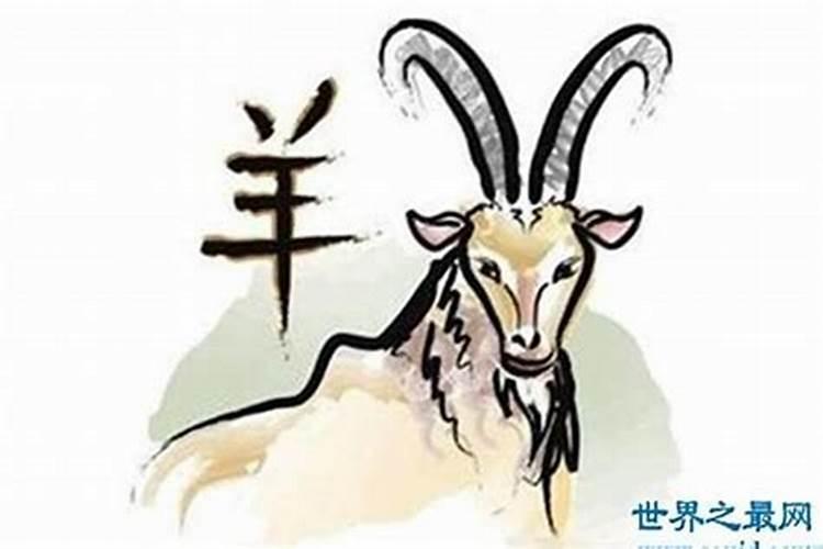 十二生肖中哪些生肖最适合做朋友你知道吗？
