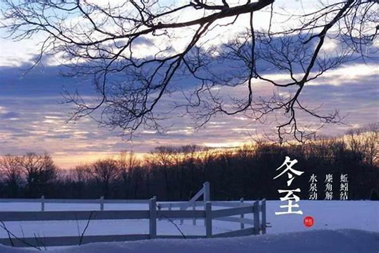 1982年12月15日中午3时左右出生的五行怎么样呀要补什么？