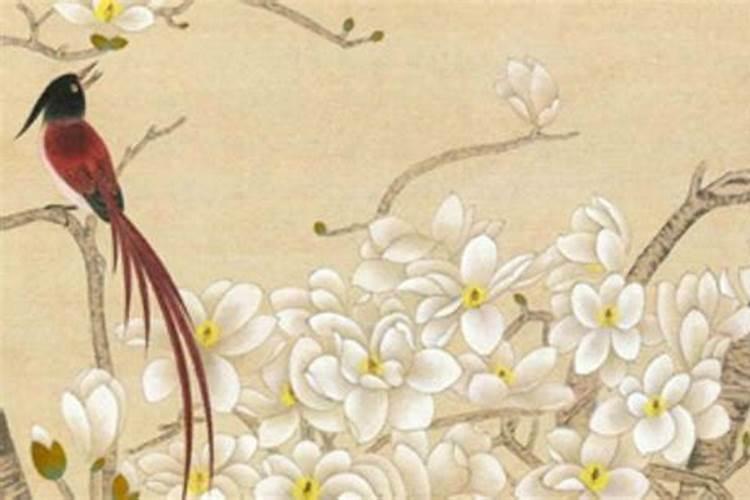 合八字,看合了几个字