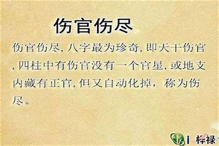 什么八字的人配偶帅 女命官印相生的组合？
