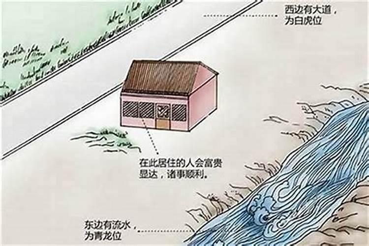 总高7层6楼一个一个阳卧两个阴卧好不好？