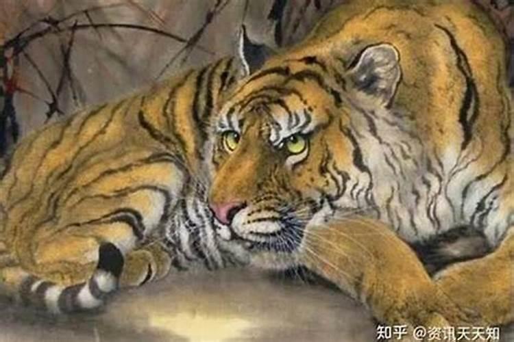 1979属羊人2020年全年运势详解如何化解生肖劫难