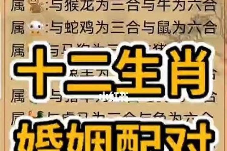 两个人合不合是看属相还是看八字 八字合婚的注意事项？
