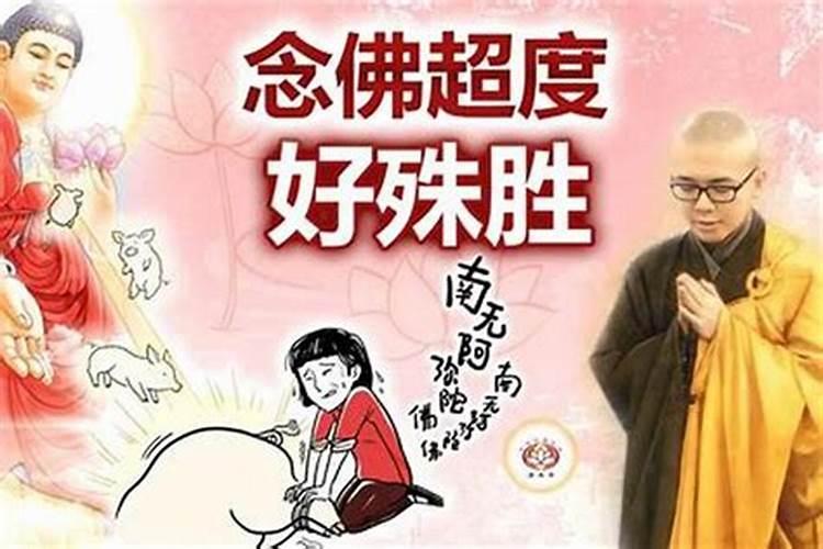 2024年不可结婚的属相