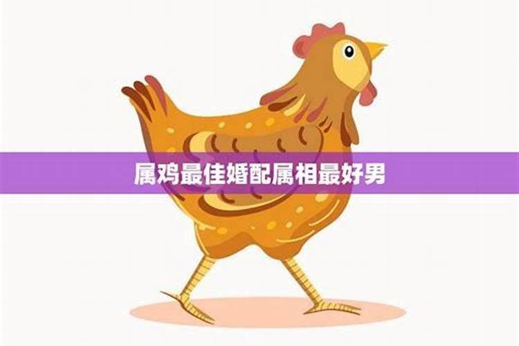 李居明2021年属相运势及运程,2021年老黄历属相
