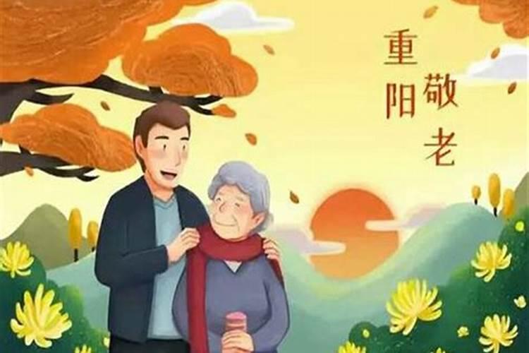 重阳节的哪些习俗与感恩敬老相关？