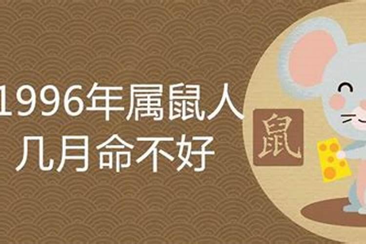 鼠年哪个月份好