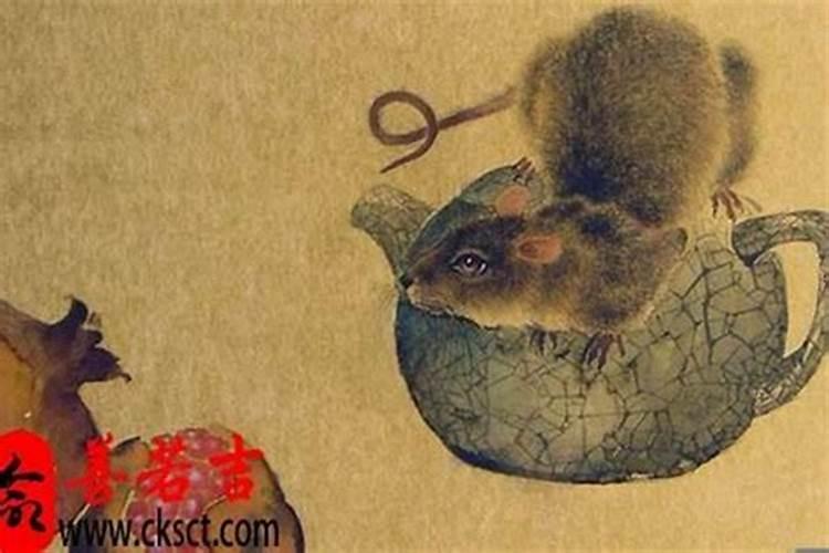 鼠人2025年运势运程每月运程