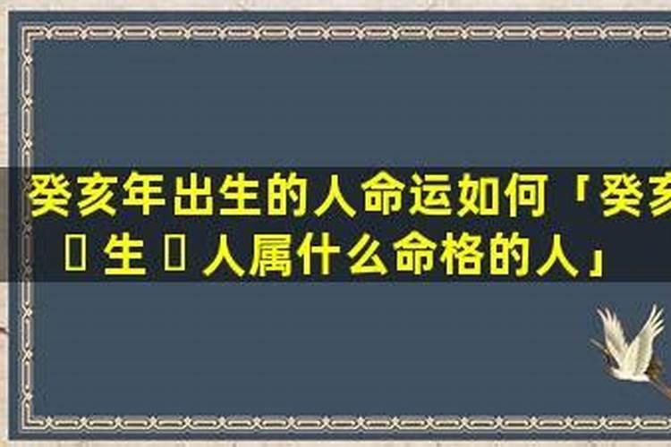 请大师帮我看看八字 癸亥年 乙丑月 辛丑日 癸巳时 男