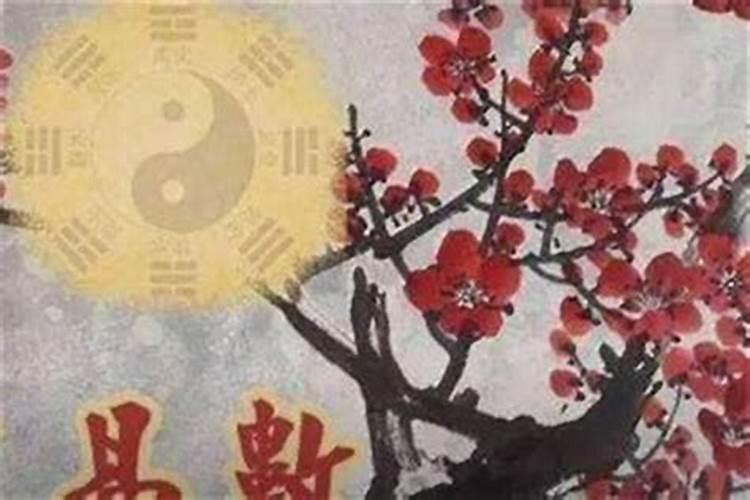 梅花易数上卦1下卦1变卦6,求大师解