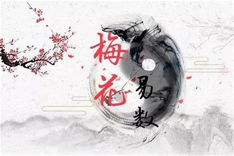 我用梅花易数算了个卦,谁帮我解释一下？？