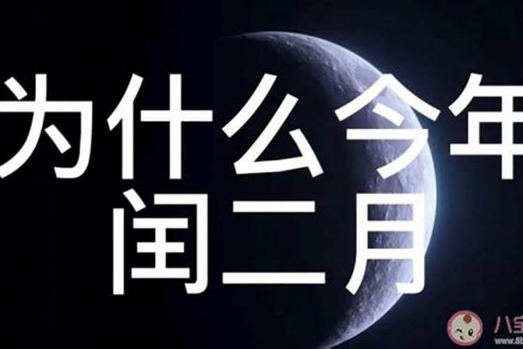 1976年农历二月二日出生的命运