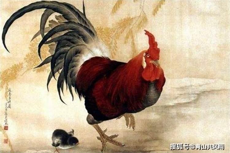 破太岁怎么化解属鸡
