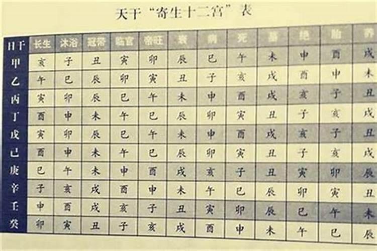 她的八字命元是:丙火,身弱。喜用神:木、火。怎样解释？