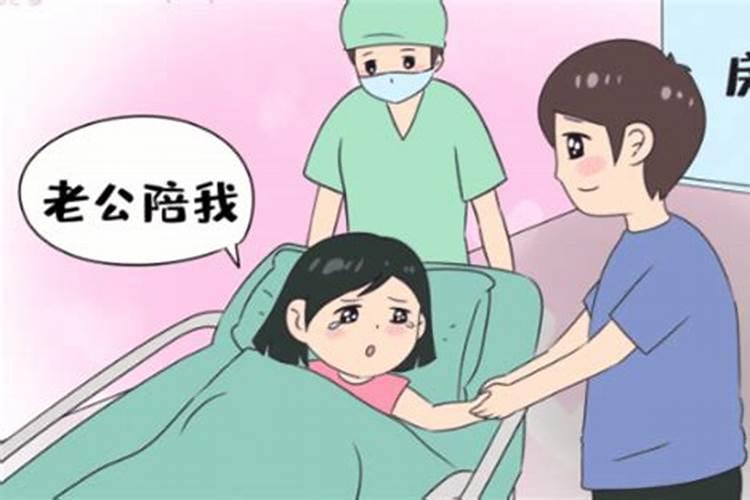 属兔今年大年初一躲什么？