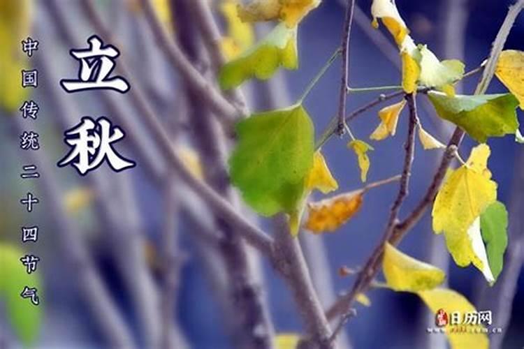 重阳节是农历几月几日