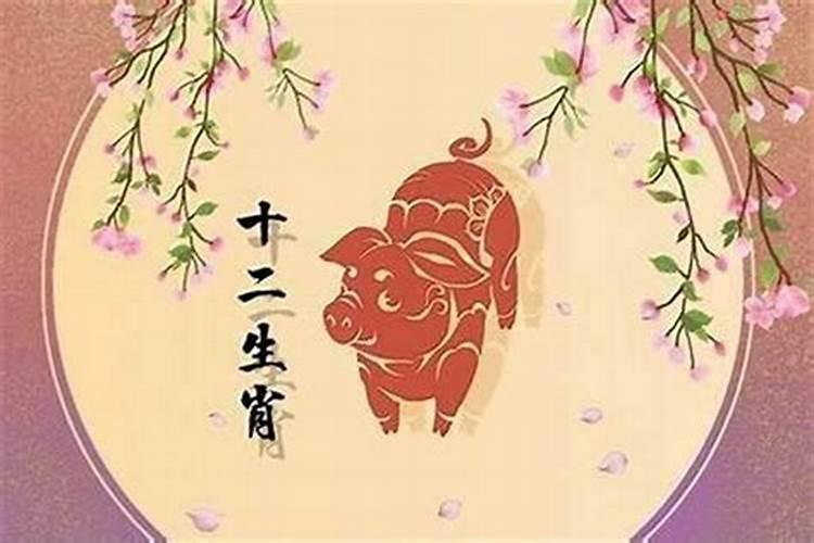 1995年属猪人2022年运势及运程女性男性95年27岁属猪2022年全年每月运程...