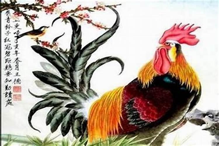 鸡牛属相合吗