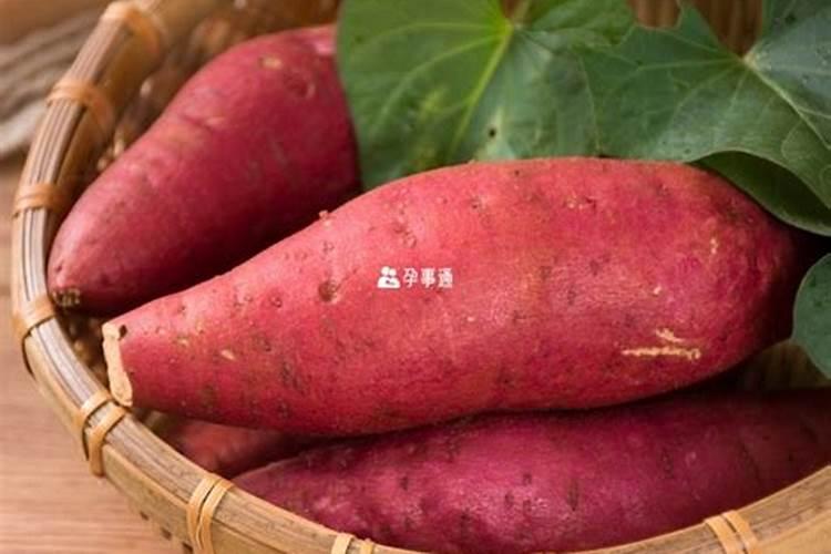 梦到小女孩有什么预兆