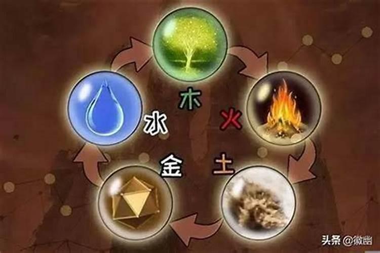 属猪的人2025年运势及运程详解