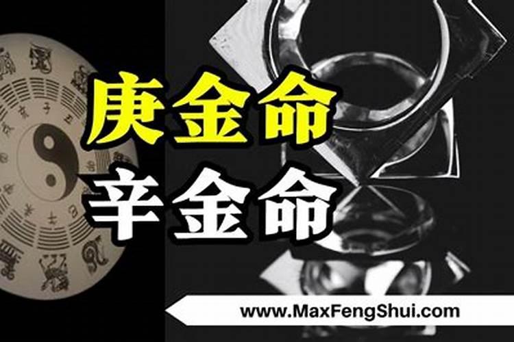 辛亥日柱在2025年的卦象