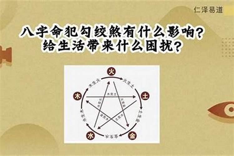 属鸡人逢鼠年运势,鼠年属鸡的是不是不顺利