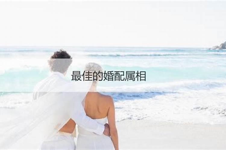 1980年属猴女2025年运势及运程