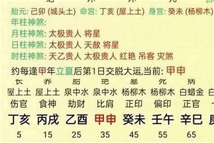 2025年82年狗女的全年运势如何