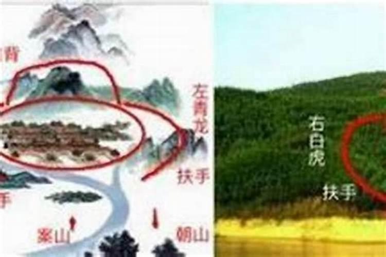 测试自己有几次婚姻,测试人一生有几次婚姻
