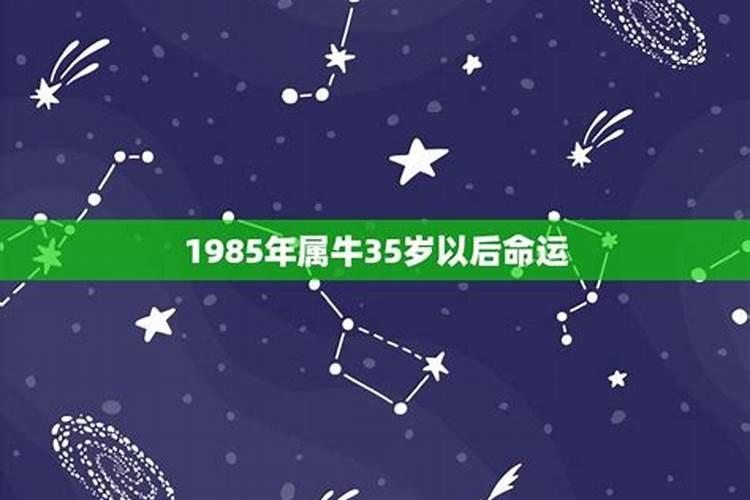 属牛85年生人的35岁财运