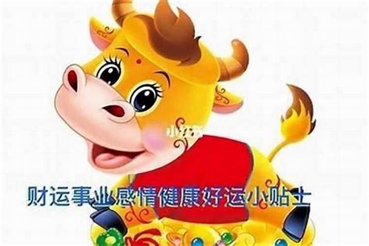 为什么85属牛35岁有一劫 如何化解？