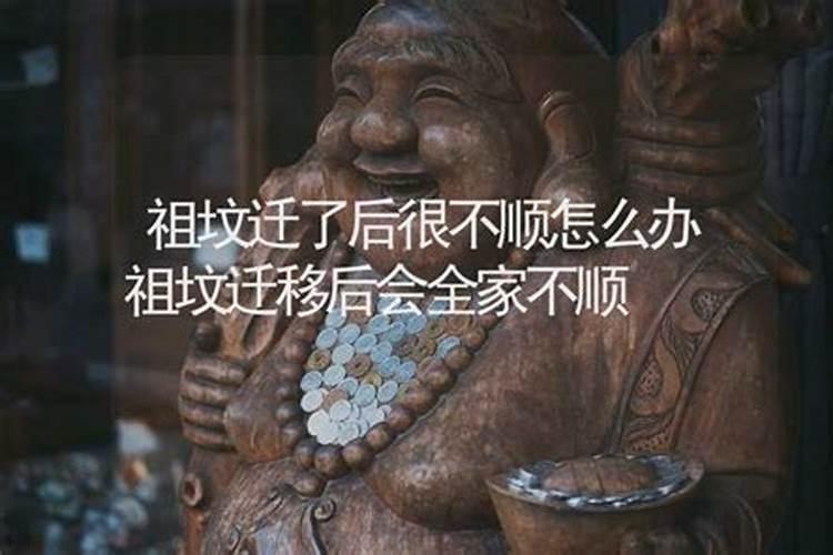 属虎2025年犯太岁怎么化解