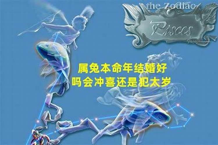 春分节气立蛋是什么意思 春分节气立蛋为什么比较容易